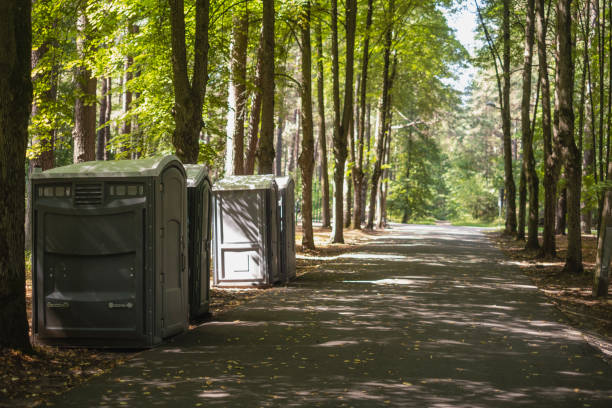 Best High-end porta potty rental  in Chenango Bridge, NY